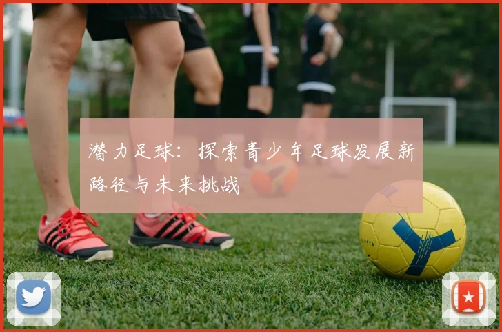 潜力足球：探索青少年足球发展新路径与未来挑战