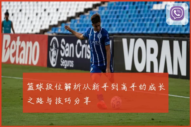 篮球段位解析从新手到高手的成长之路与技巧分享