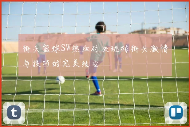 街头篮球SW热血对决玩转街头激情与技巧的完美结合