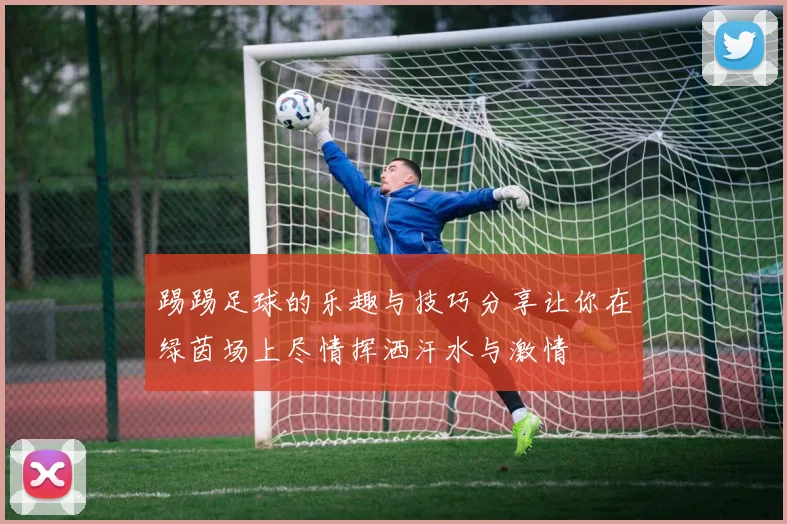 踢踢足球的乐趣与技巧分享让你在绿茵场上尽情挥洒汗水与激情