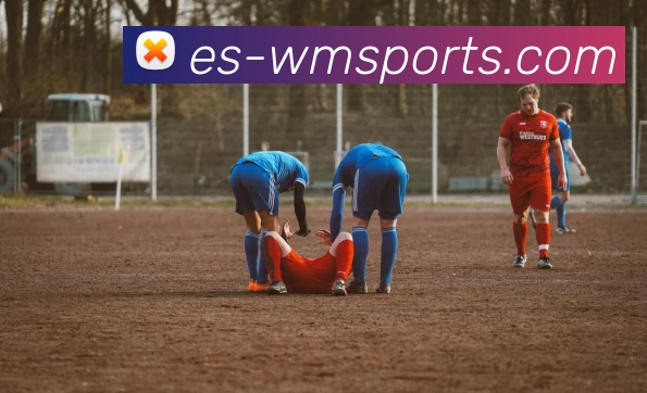 完美体育平台生态图