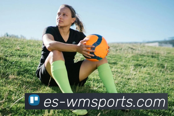 完美体育全站App